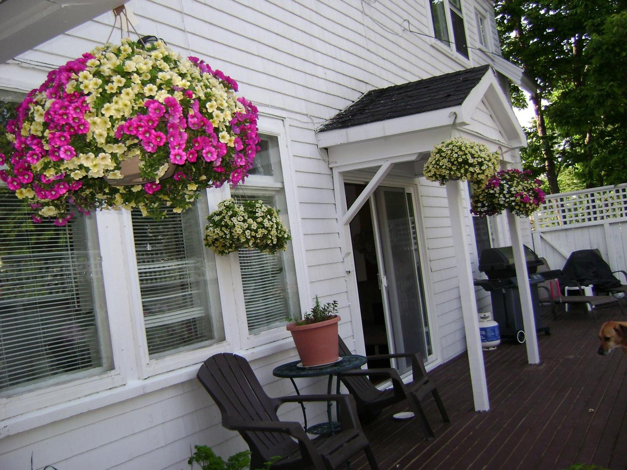 Lakelawn B&B And Motel Yarmouth Exterior photo